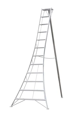 12' Original Tripod Ladder