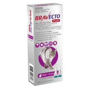 Bravecto Plus Cat Spot On Large 6.25-12.5kg Purple - 2pk