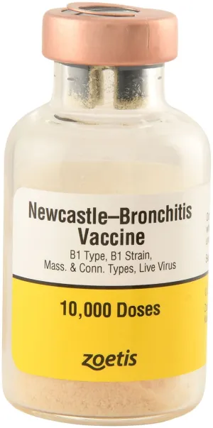 Newcastle-Bronchitis for Chickens