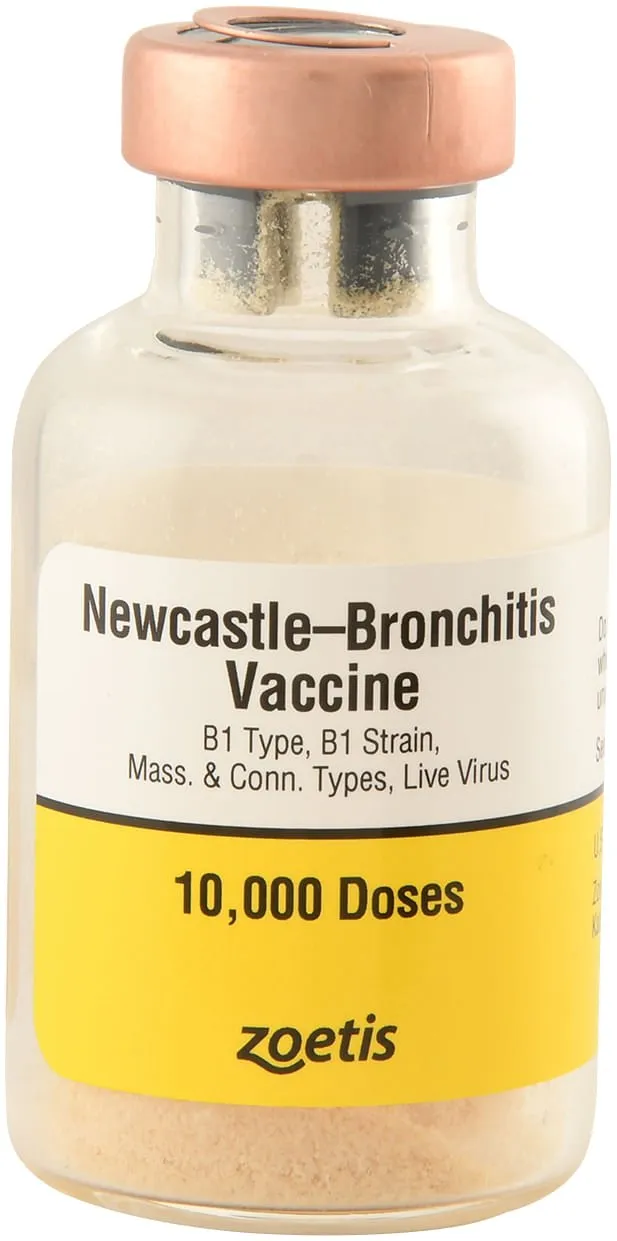 Newcastle-Bronchitis for Chickens