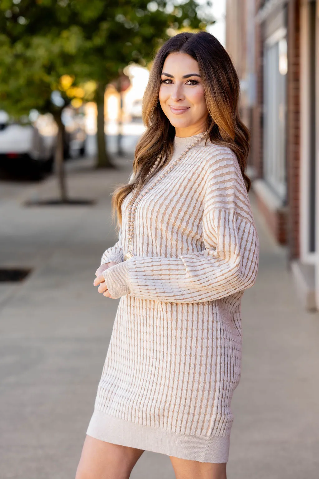 Solid Trim Cable Knit Sweater Dress