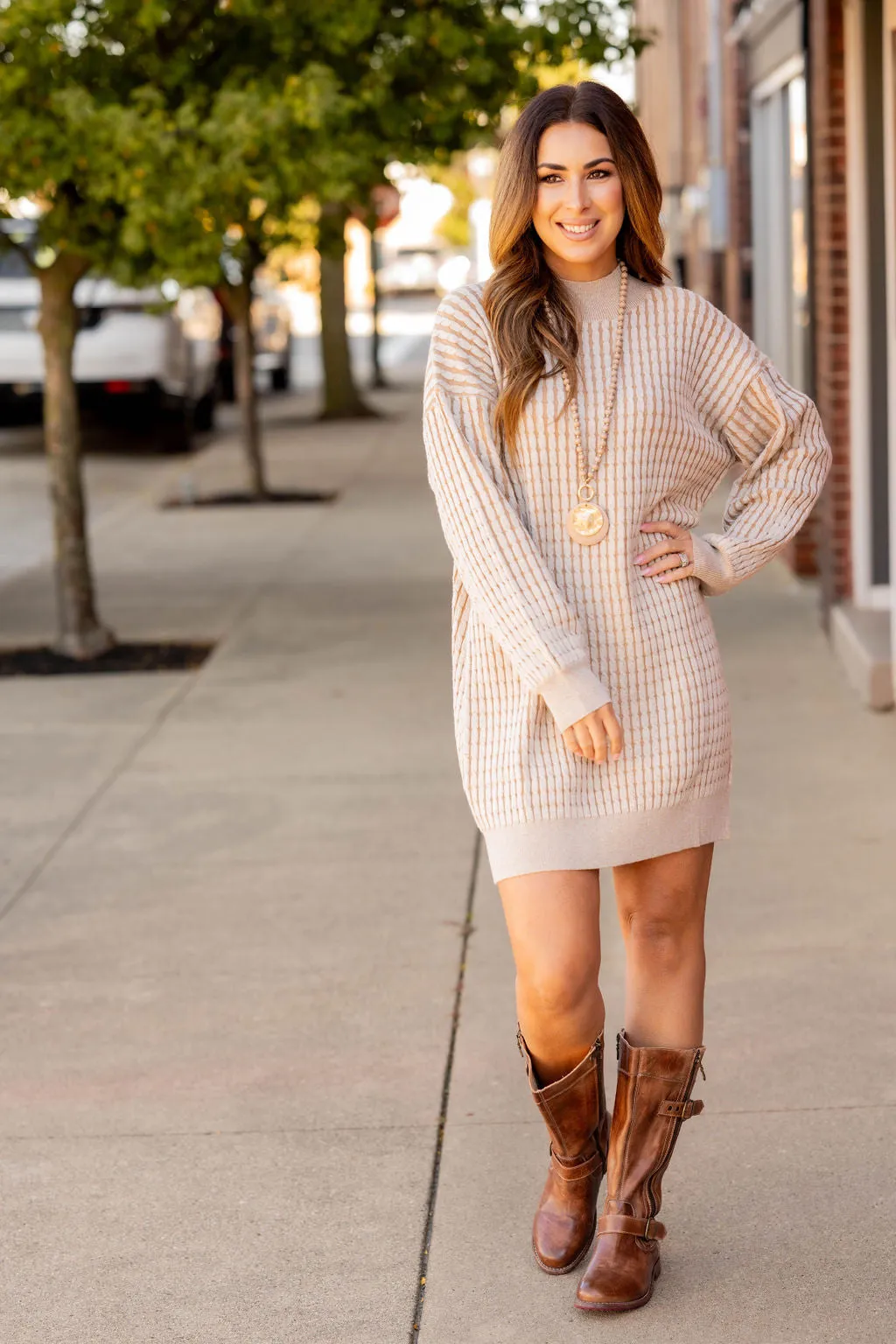 Solid Trim Cable Knit Sweater Dress