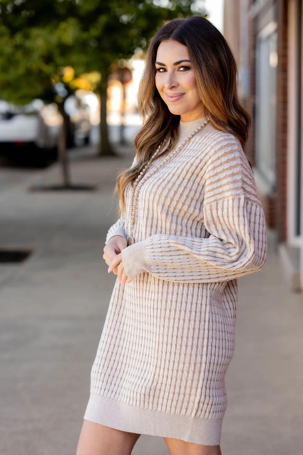 Solid Trim Cable Knit Sweater Dress