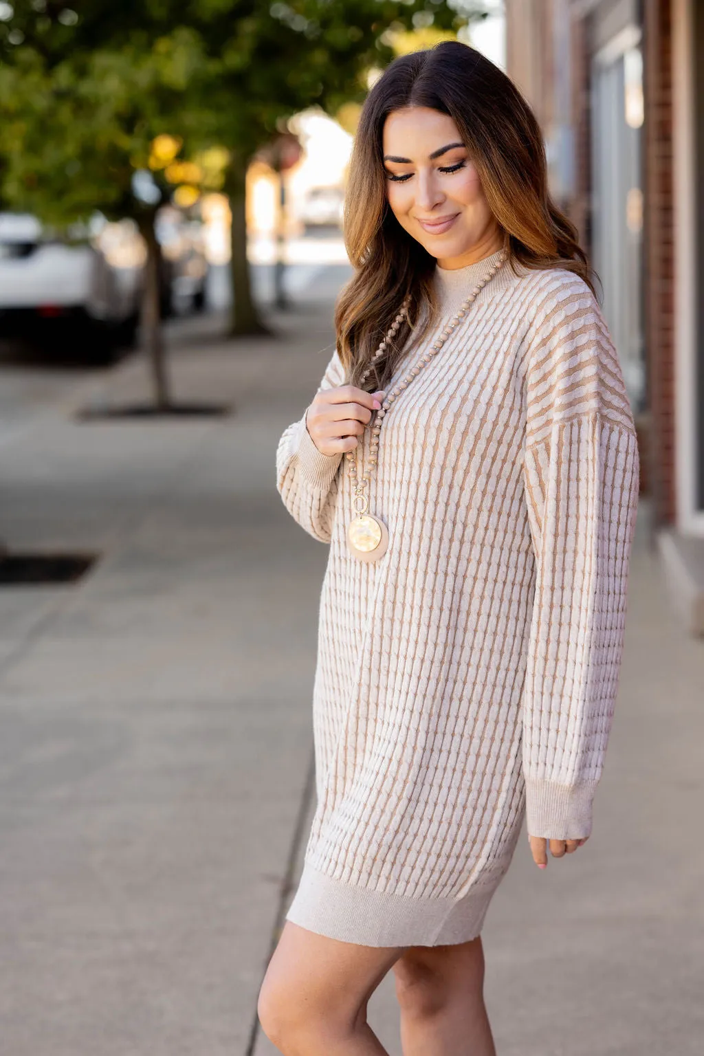 Solid Trim Cable Knit Sweater Dress