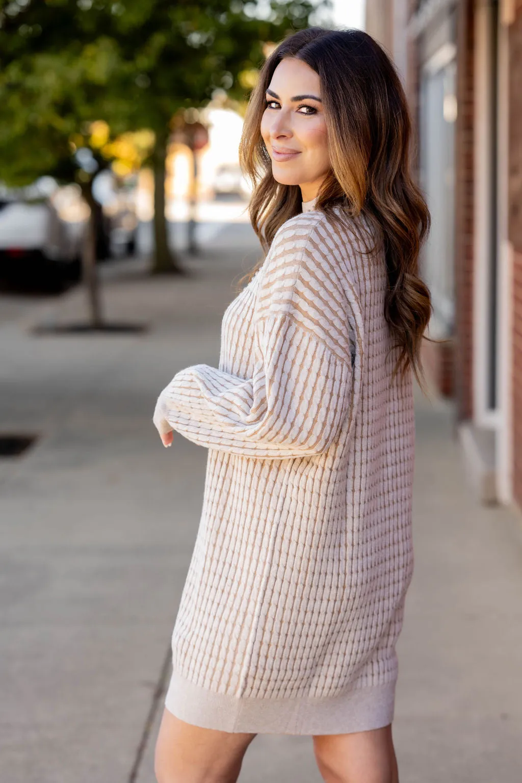 Solid Trim Cable Knit Sweater Dress