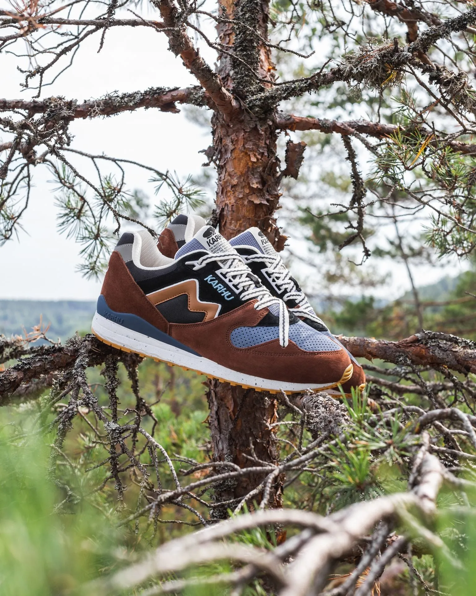 SYNCHRON CLASSIC "TREES OF FINLAND" PACK - AZTEC / BROWN SUGAR